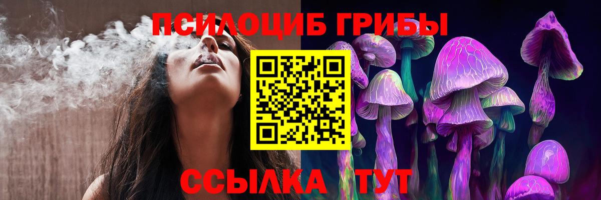 Приморско-Ахтарск  Псилоцибиновые грибы прущие грибы  где можно купить наркотик  Вход с VPN 